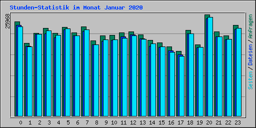 Stunden-Statistik im Monat Januar 2020