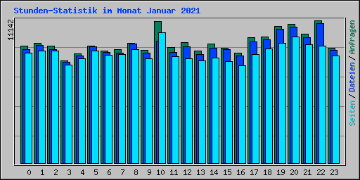 Stunden-Statistik im Monat Januar 2021