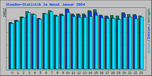 Stunden-Statistik im Monat Januar 2024