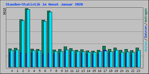 Stunden-Statistik im Monat Januar 2026