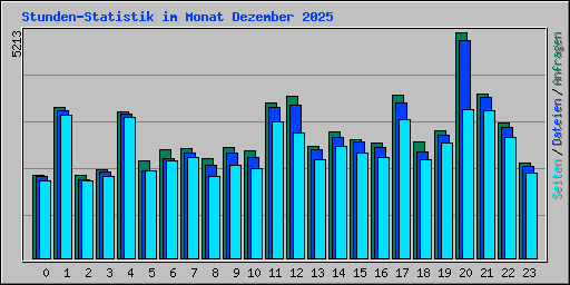 Stunden-Statistik im Monat Dezember 2025